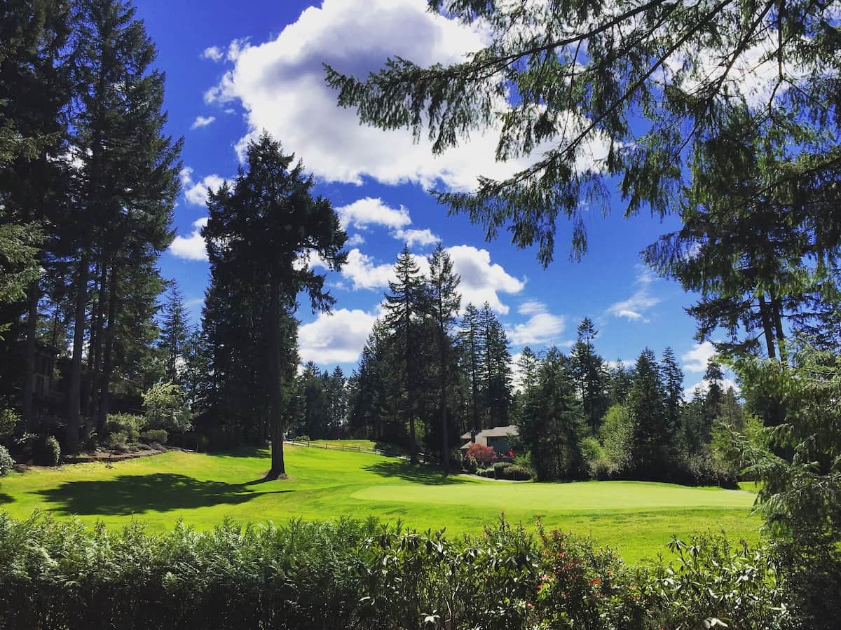 View of the 16th green from the deck. 