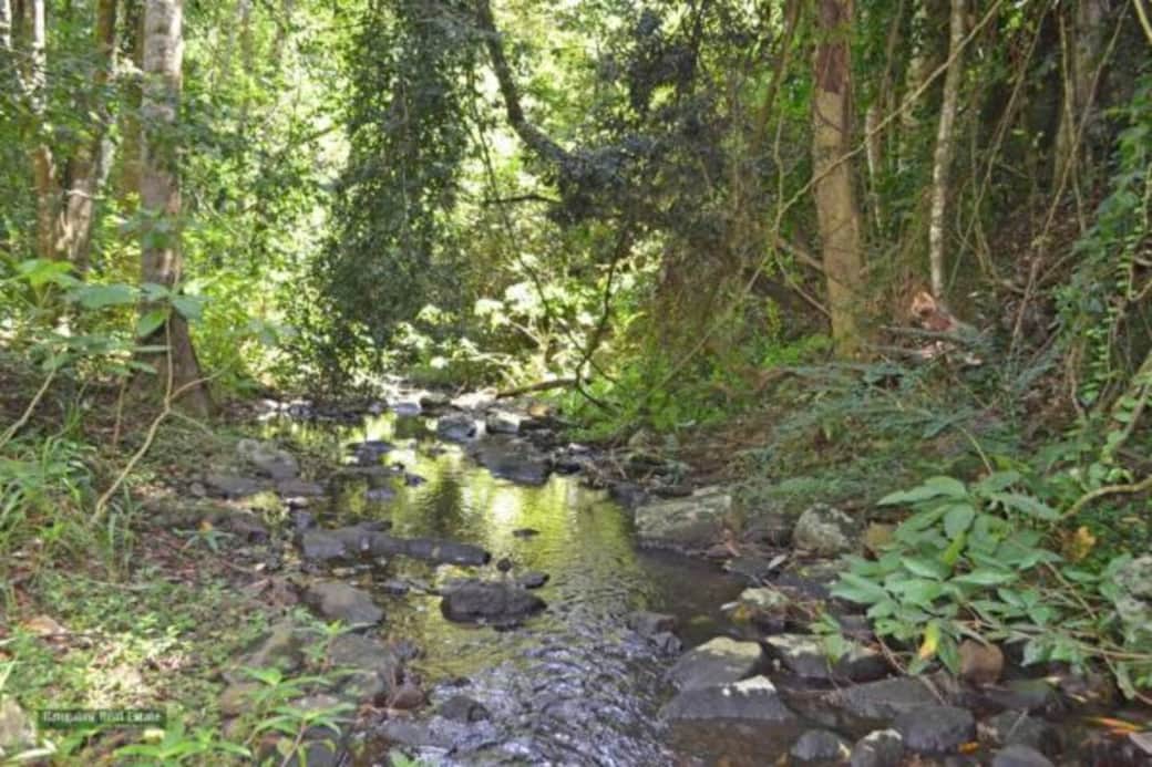 Stony Creek wraps around the bottom of Samsara, perfect for picnics, bush yoga or exploring Stony Creek wraps around the bottom of Samsara, perfect for picnics, bush yoga or exploring