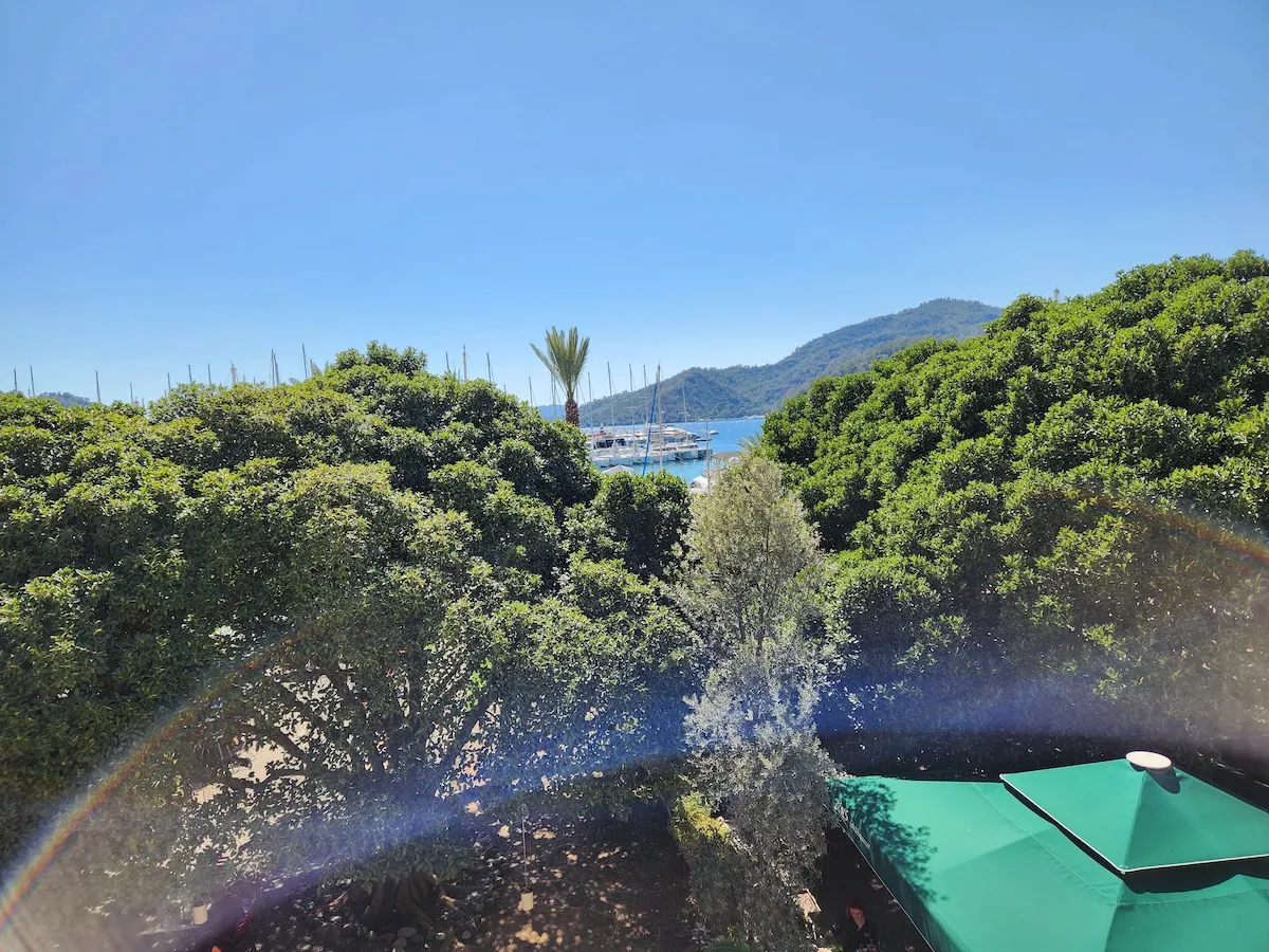 View from Apart Guney 4 showing trees, a palm, and boats in the distance, Göcek.