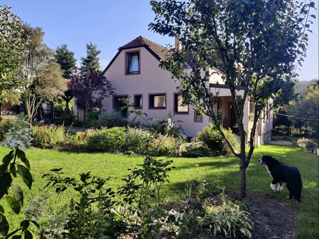 Screenshot 2026-02-24 125808