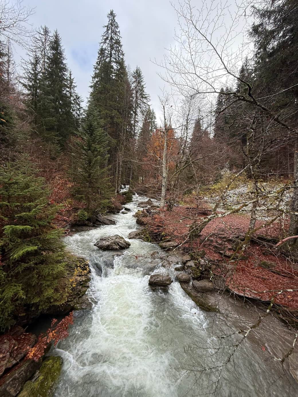 Nearby stream