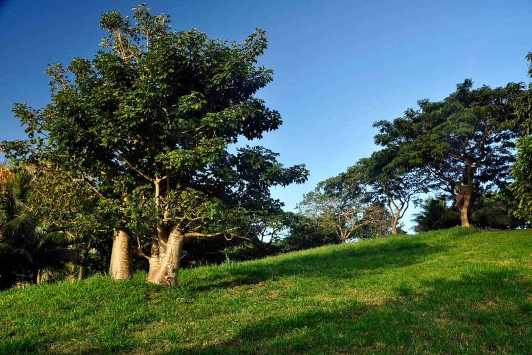 Beautiful Country Surroundings