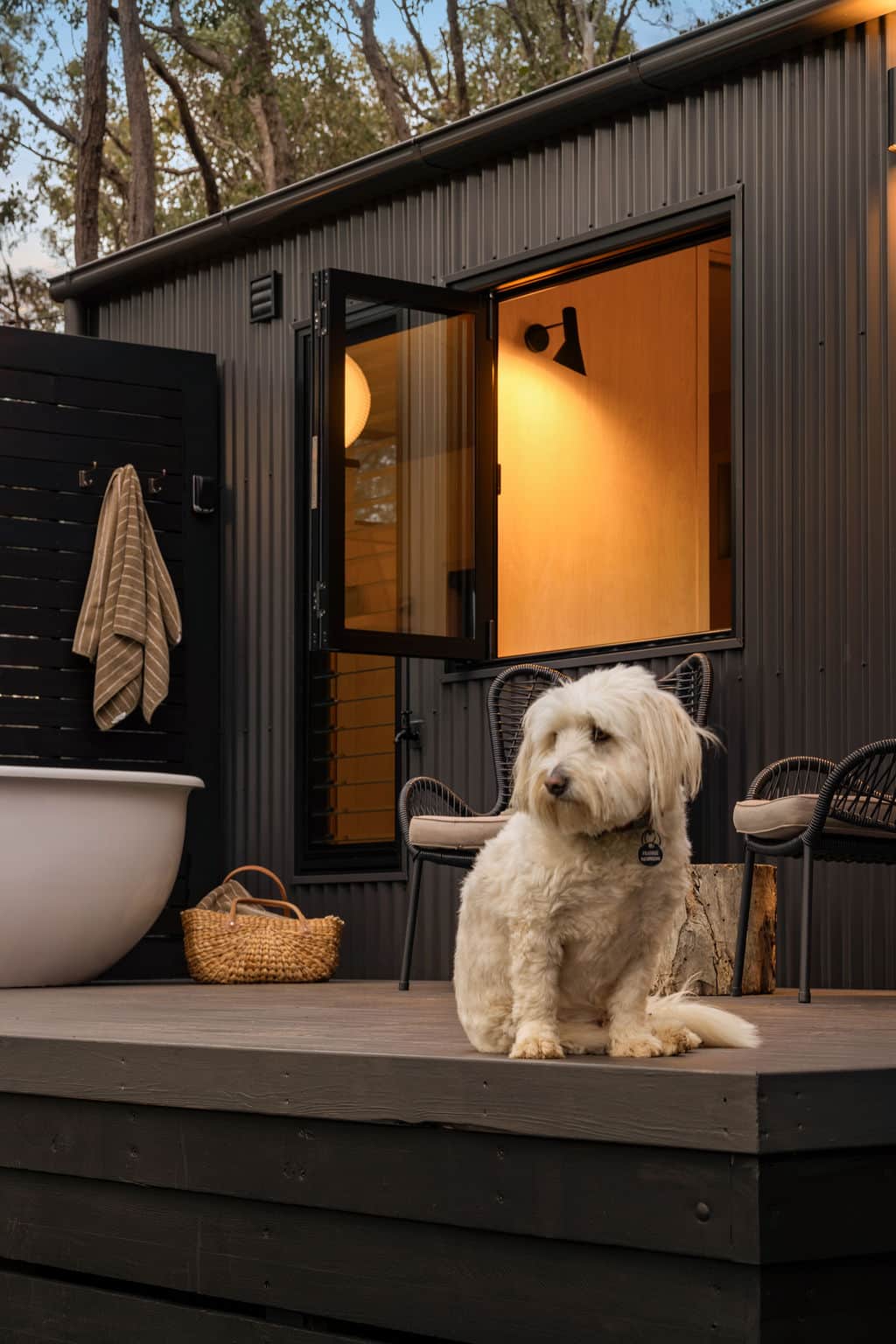 Dog firendly Accomodation