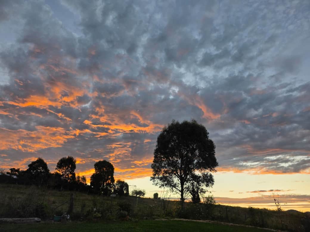 Gorgeous clouds viewed from back garden at sunset. Gorgeous clouds viewed from back garden at sunset.