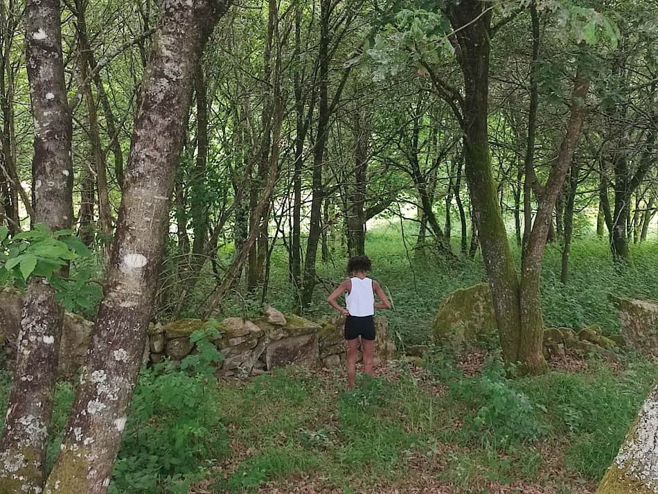 Bosque (niña) junto carretera del Monte Carrio