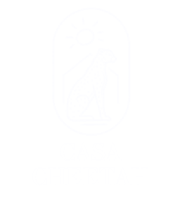Casa Cheetah Luxury Villa in Tamarindo