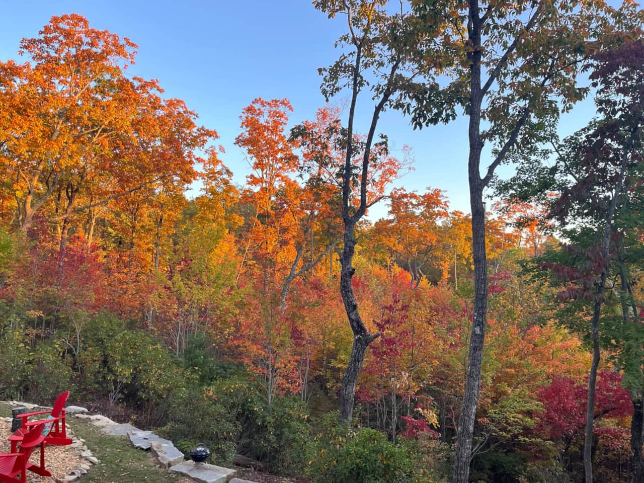 Breathtaking fall season