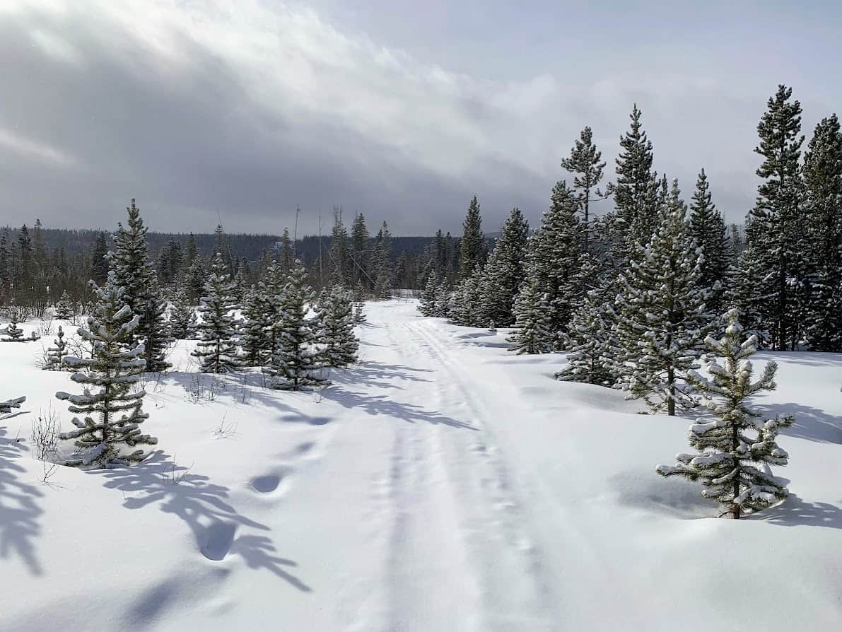 Fraser Experimental Forest