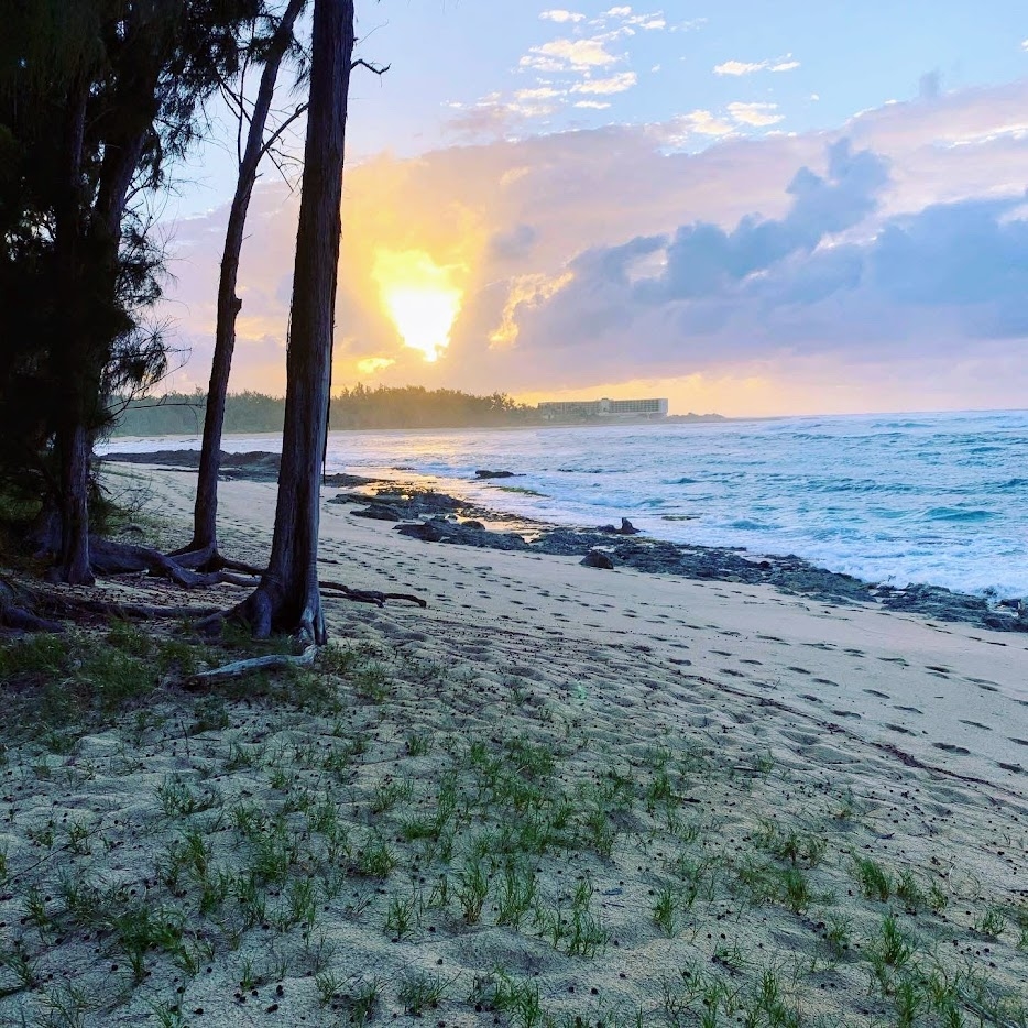 Home - Hale Blue Aloha Peaceful Vacation Oasis Oahu North Shore Hawaii