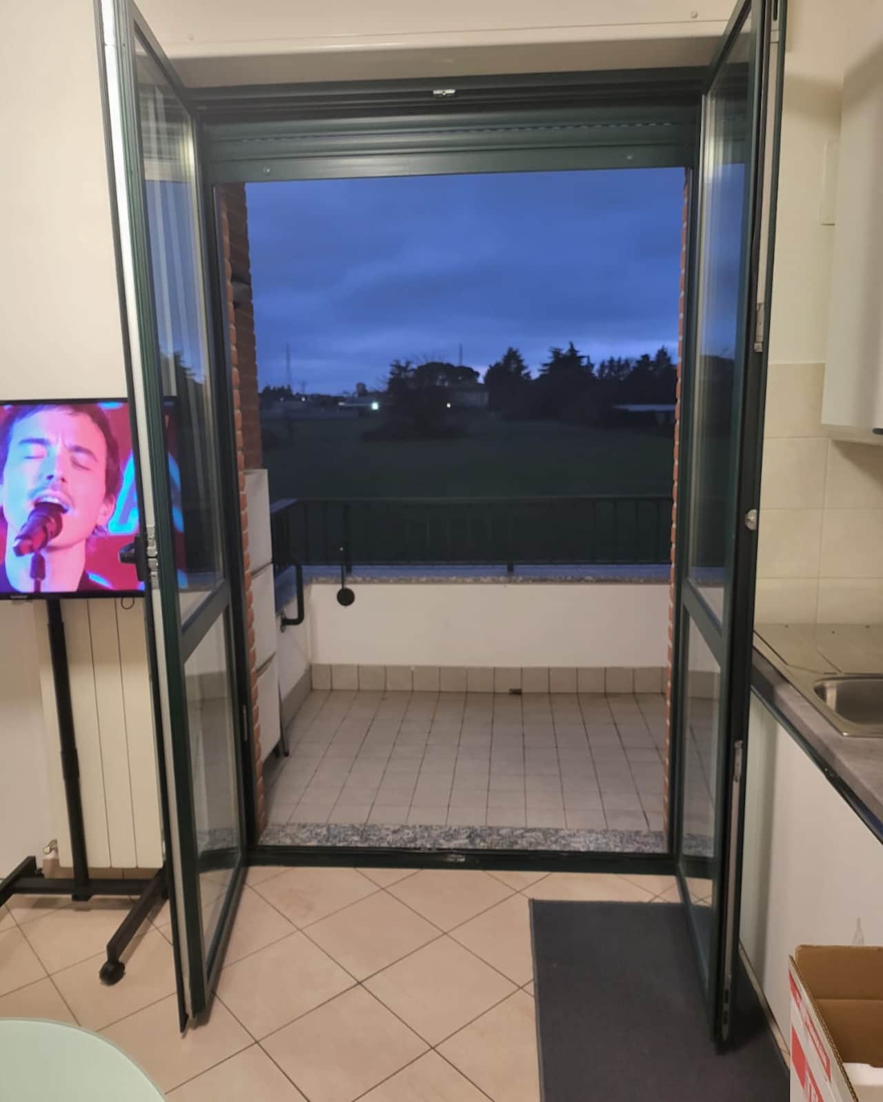 Offene Glasdoppeltür zum Balkon mit Abendblick