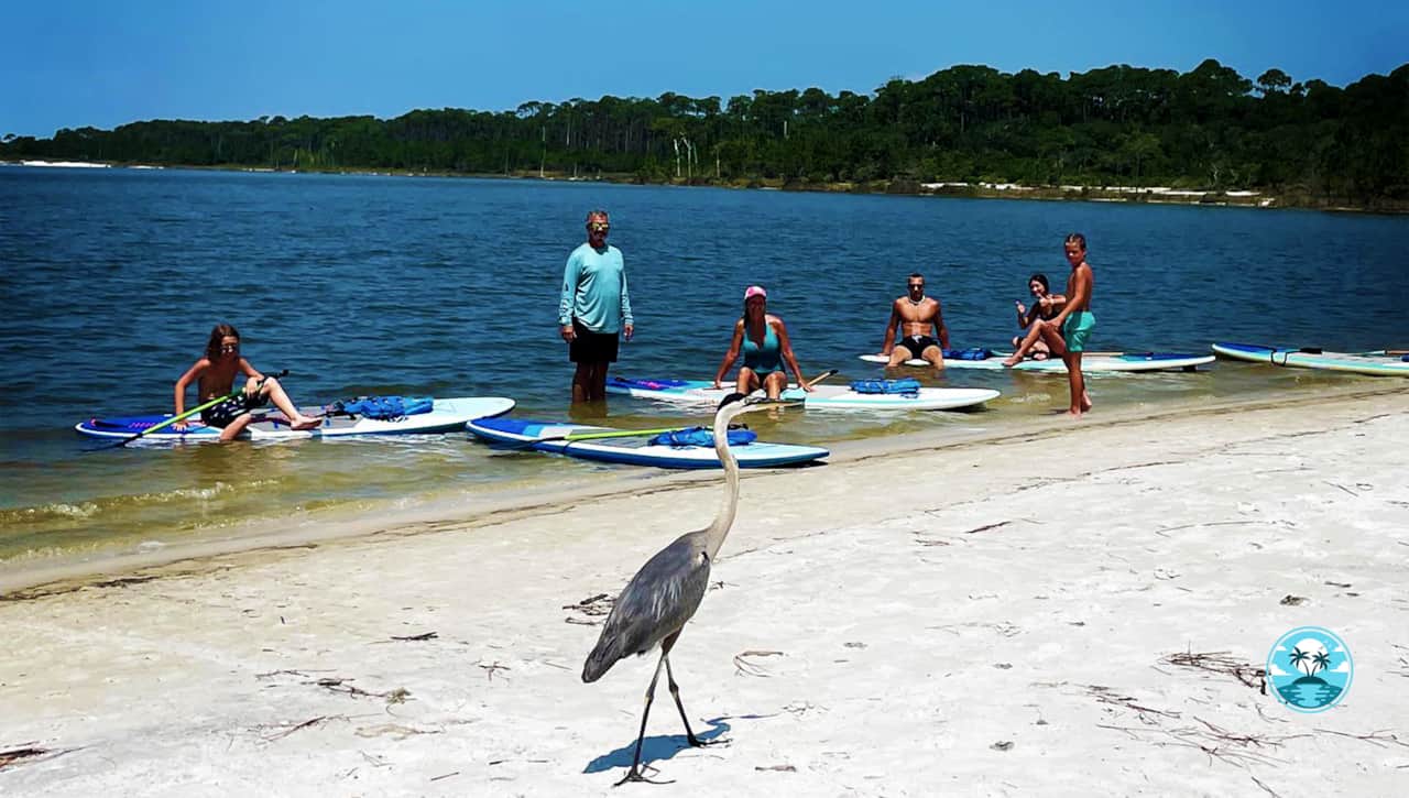 Len Farina Properties Flora Bama Area Visitors Guide Pure Aloha Adventures Kayak Paddleboard Rentals 8.jpg