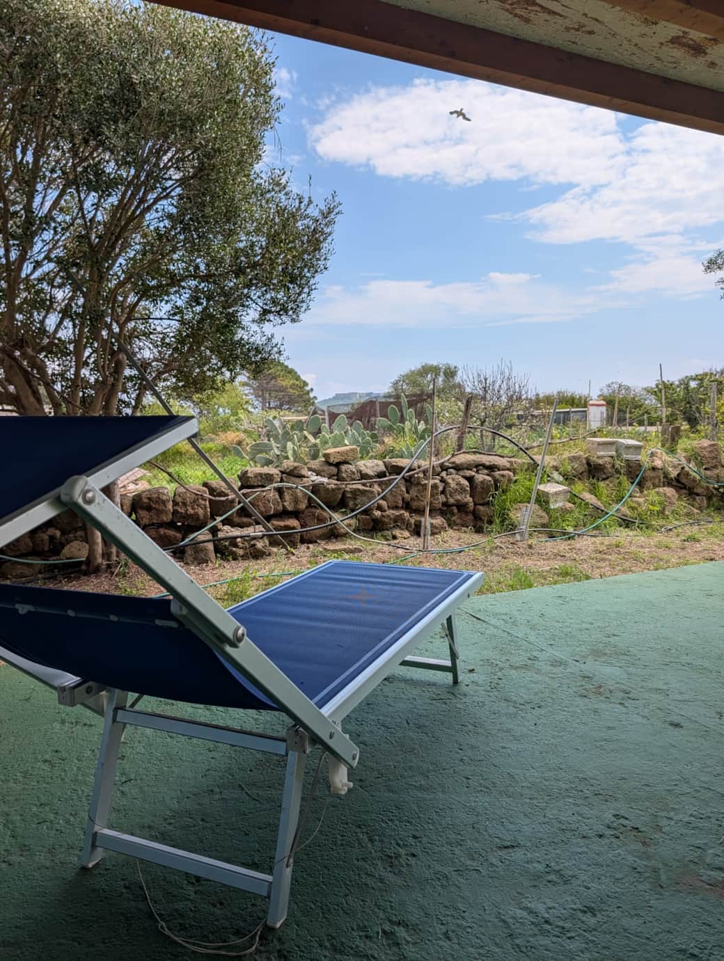 WhatsApp Image 2026-04-20 at 13.53