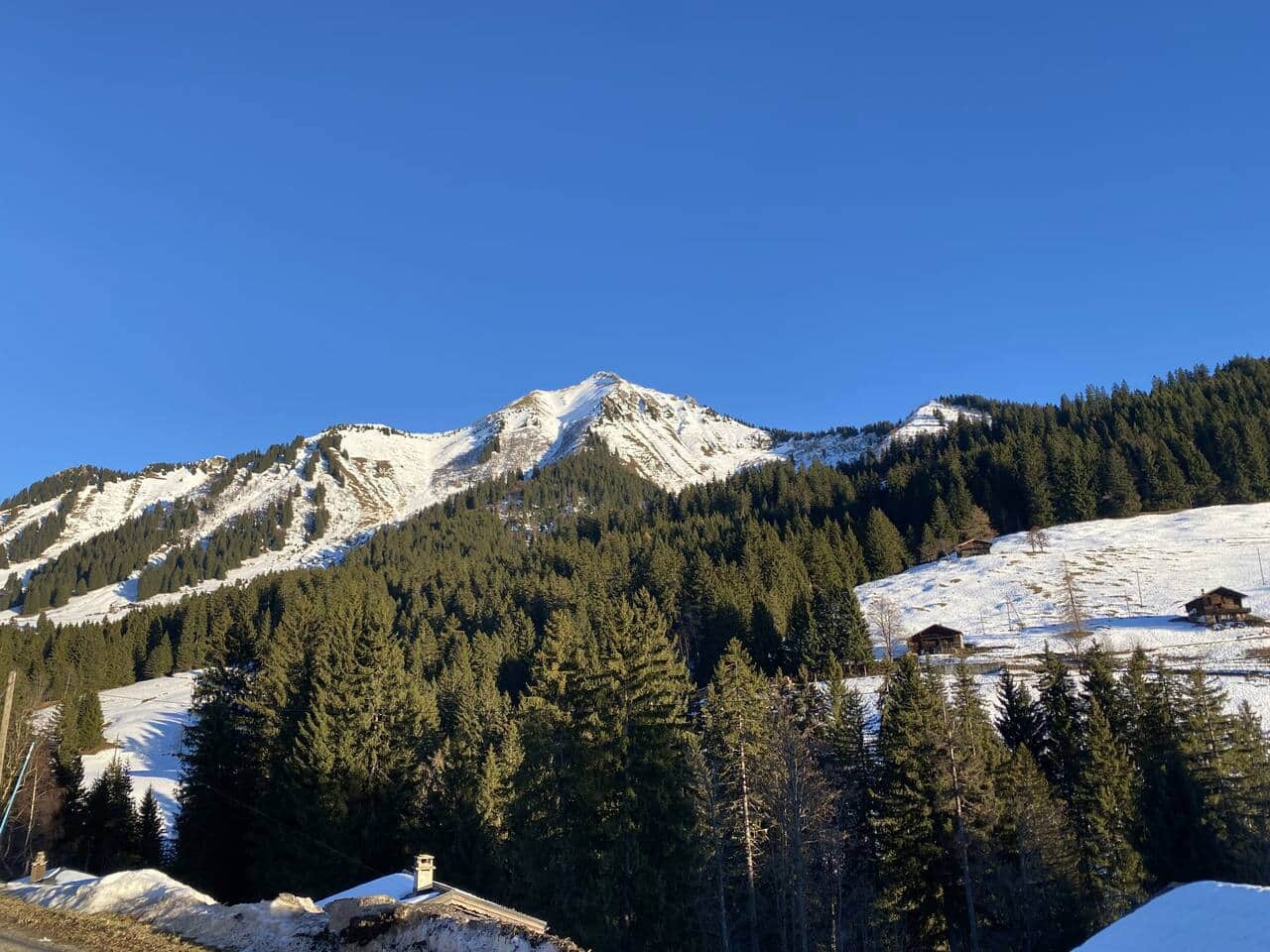 vue montagne de l hotel-restaurant - Auberge de la Combal - aux mosses