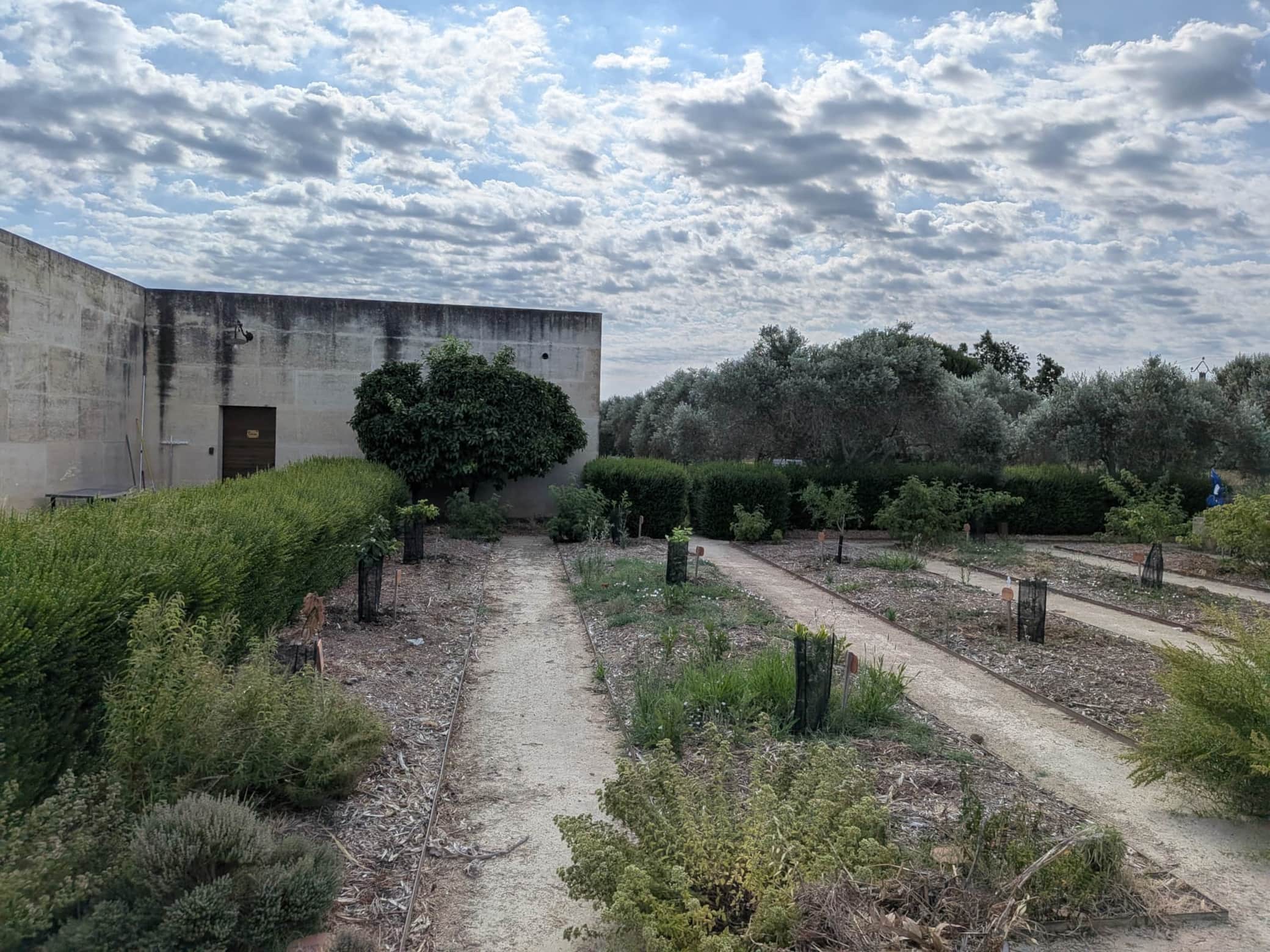 Le conservatoir d'agrumes