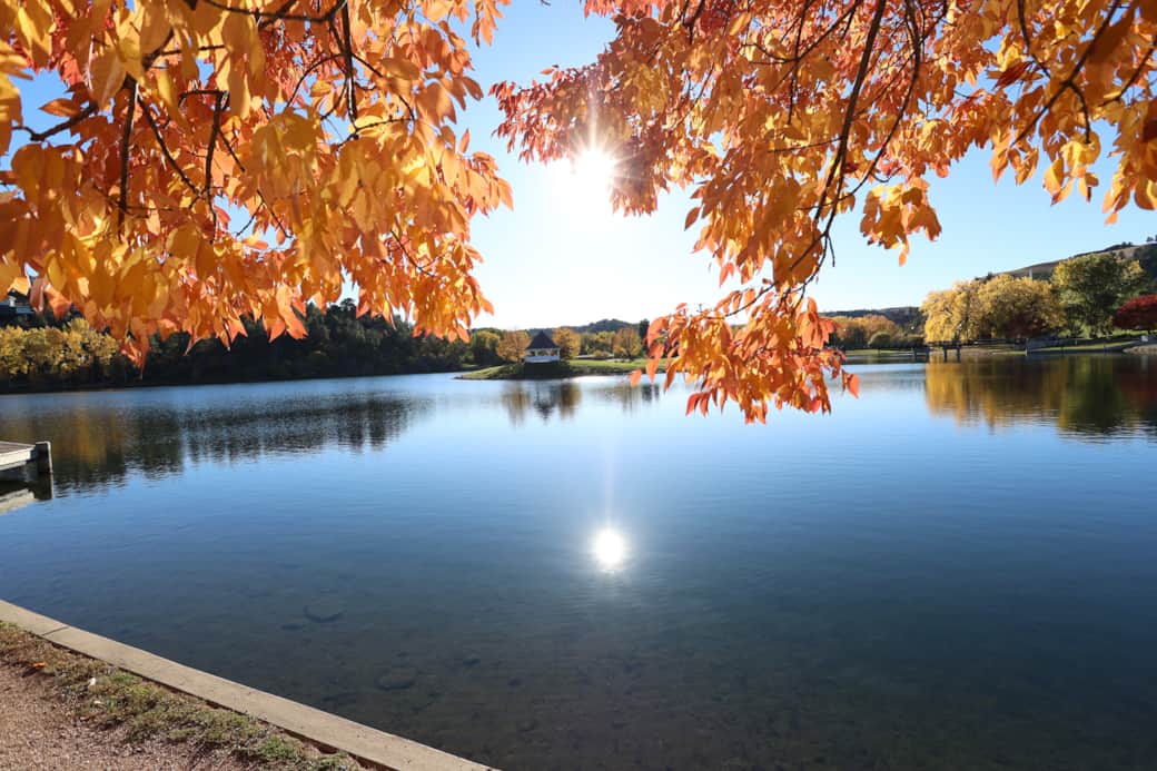Townhouse in the Pines Townhouse in the Pines