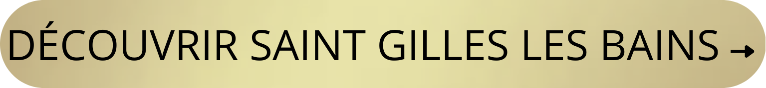 Que voir et que faire à Saint Gilles les Bains de La Réunion - Les Villas Emmanuel