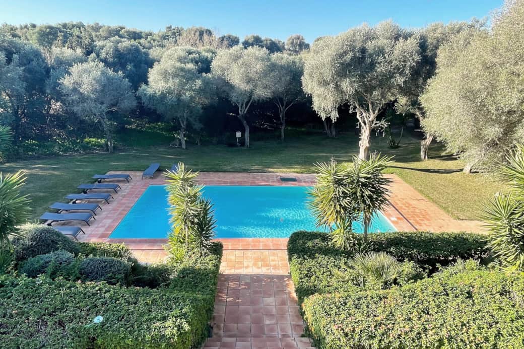 IMG_8553 (1) IMG_8553 (1)