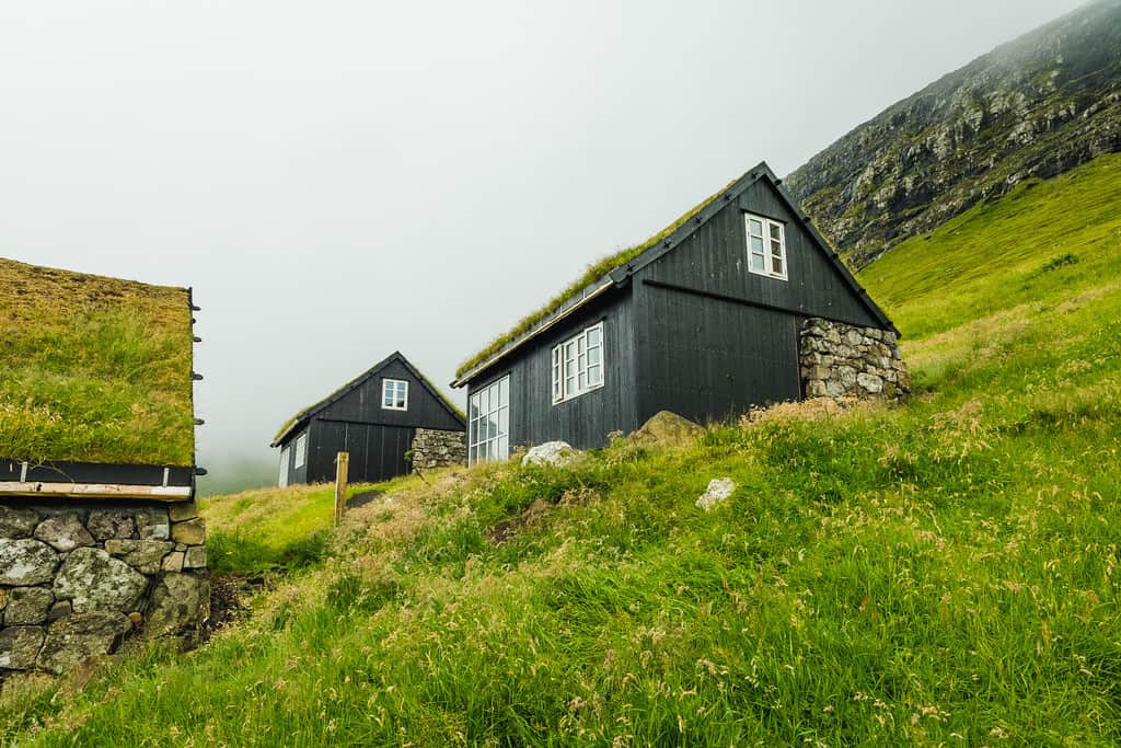 House view