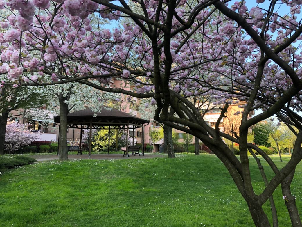 Parco interno