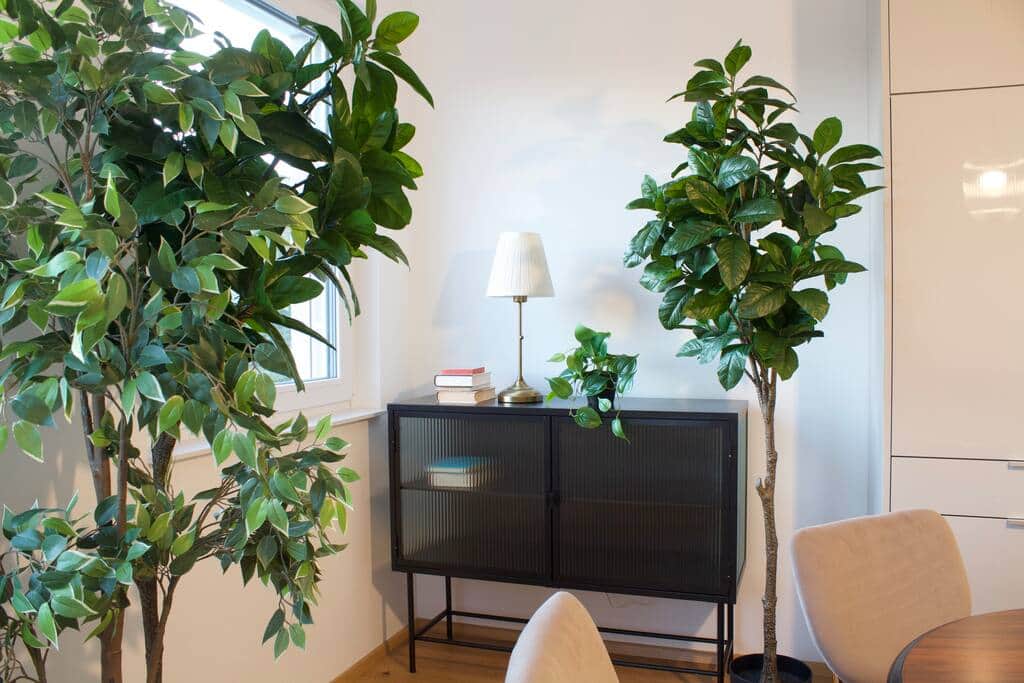 C5e2f1a1 de4f 447b b97e 1dfbbd3737dd