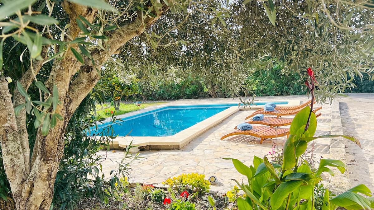 Piscina rodeada de olivos, árboles frutales y naturaleza. Desconecta y relájate