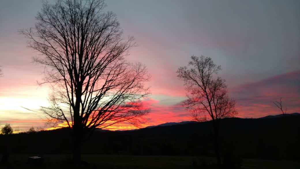Pink Sunrise 2017