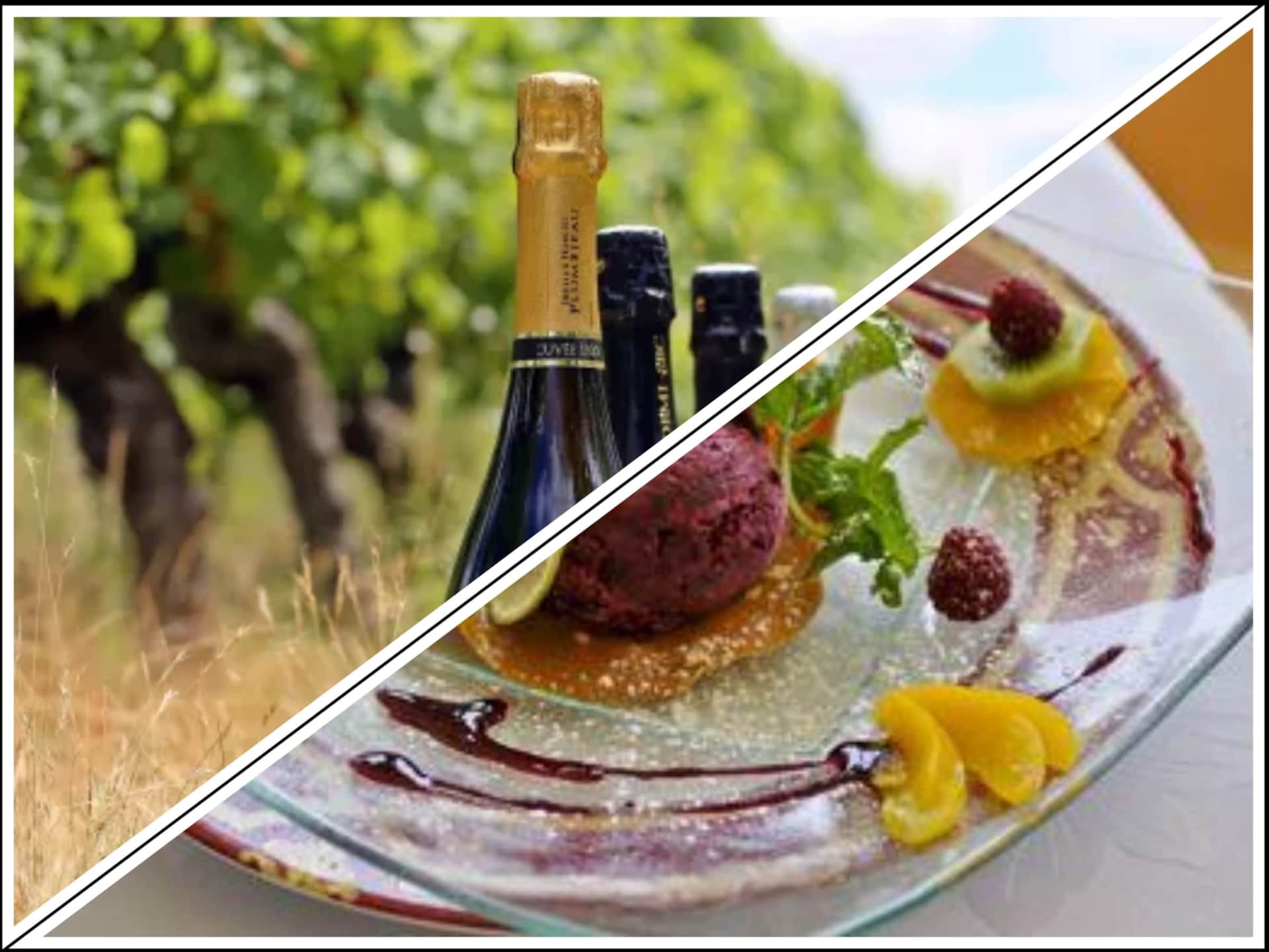vinedos y restaurantes_maison des bords de loire