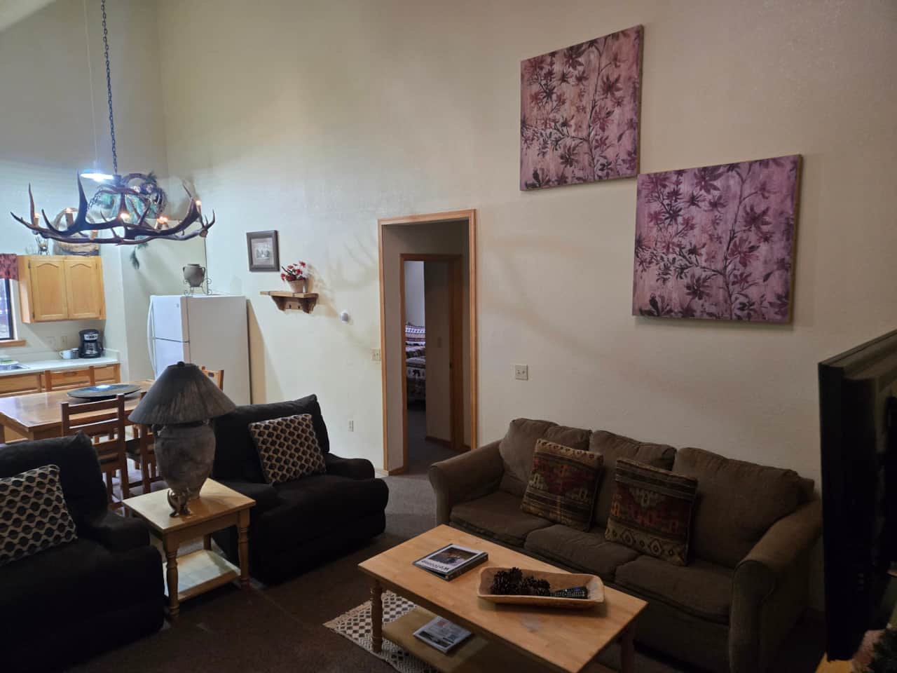 Cabin 12B LR Area