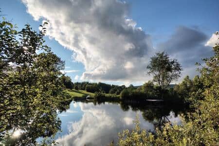 Take a walk around the pond
