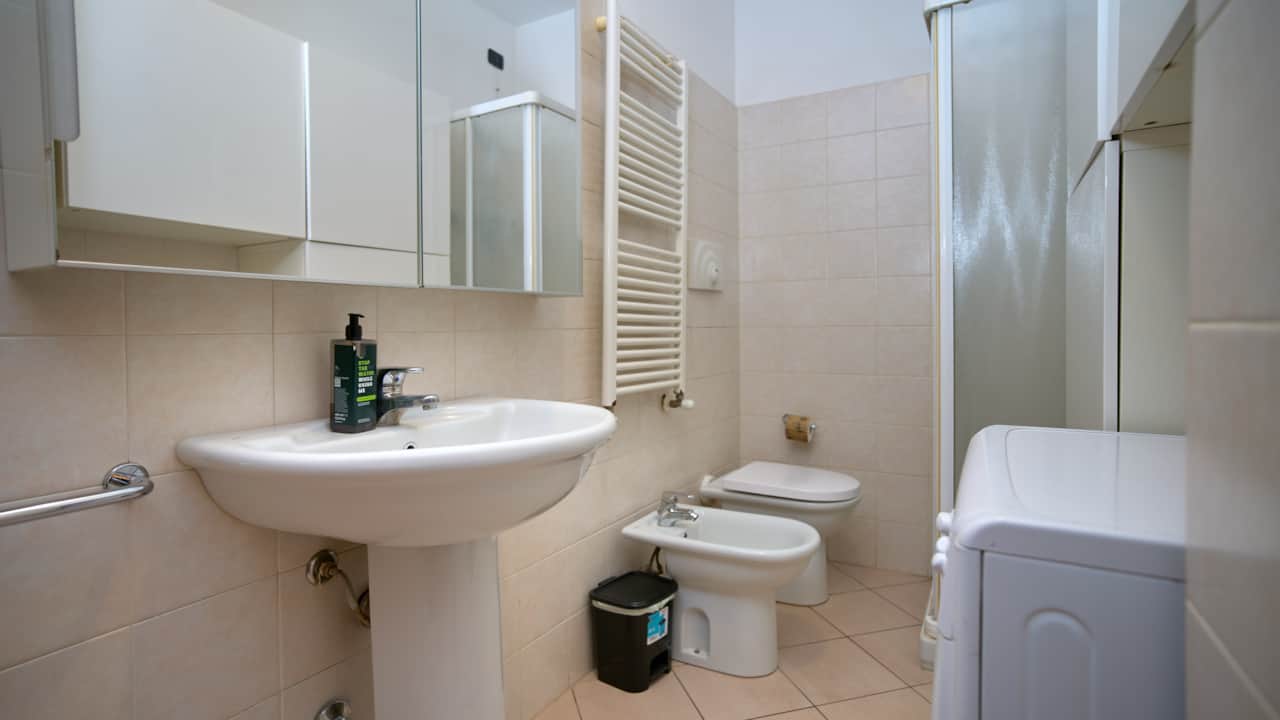 Bathroom with pedestal washbasin, sanitary fixtures and washing machine