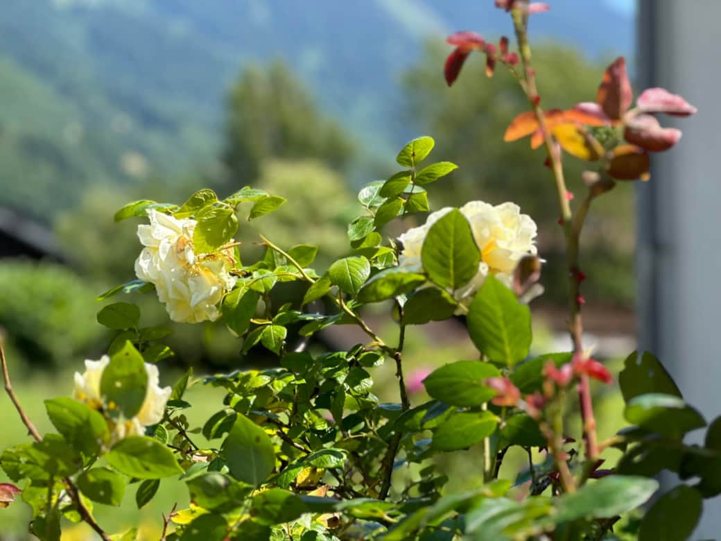 Natur vor der Tür