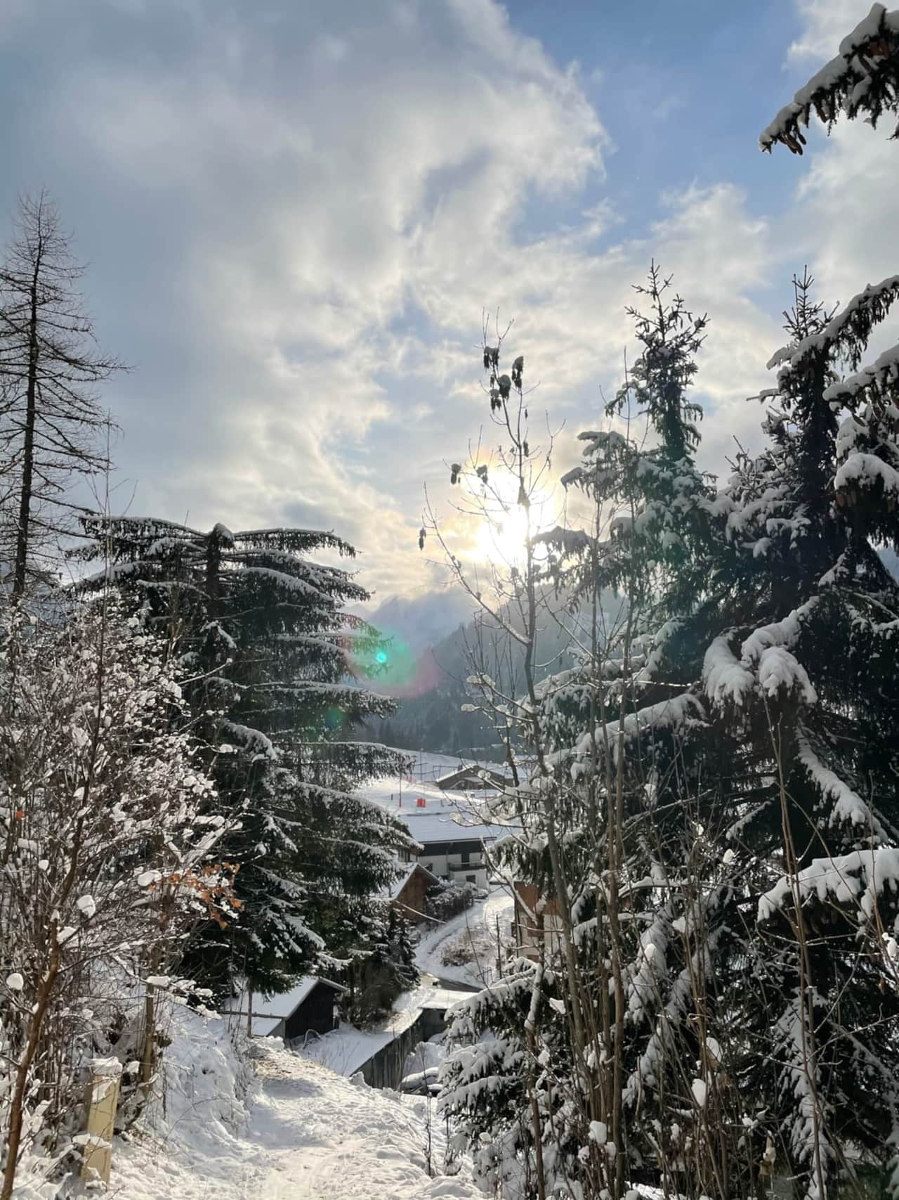 Vue du chemin