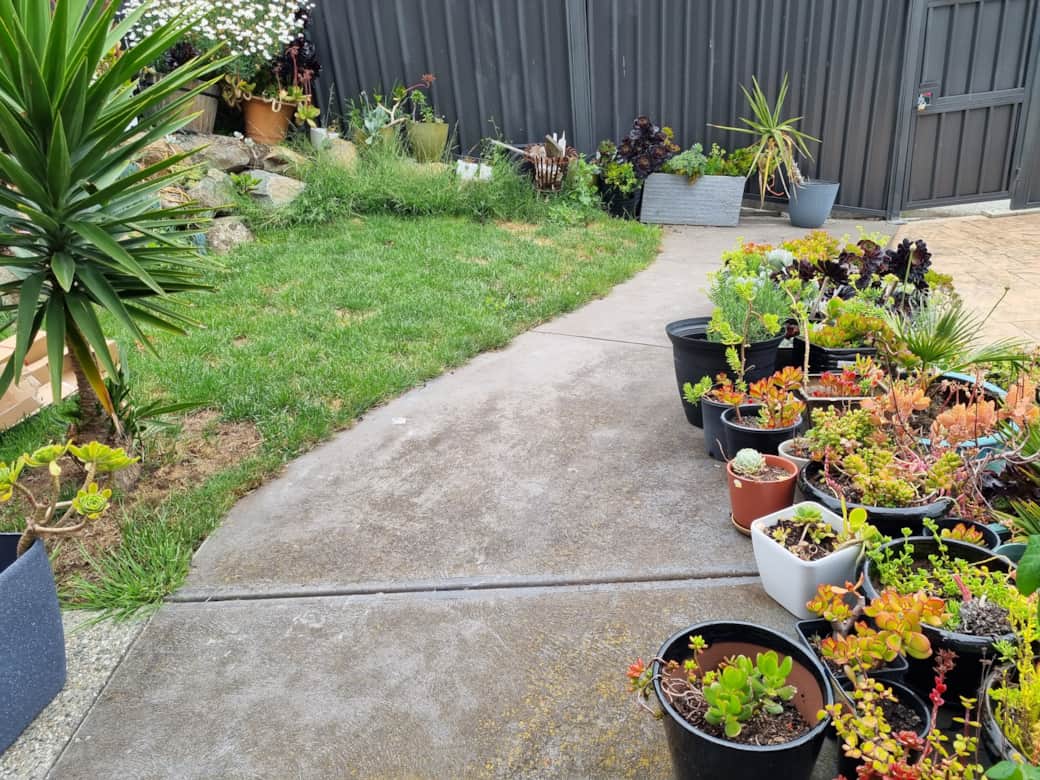Outside garden area