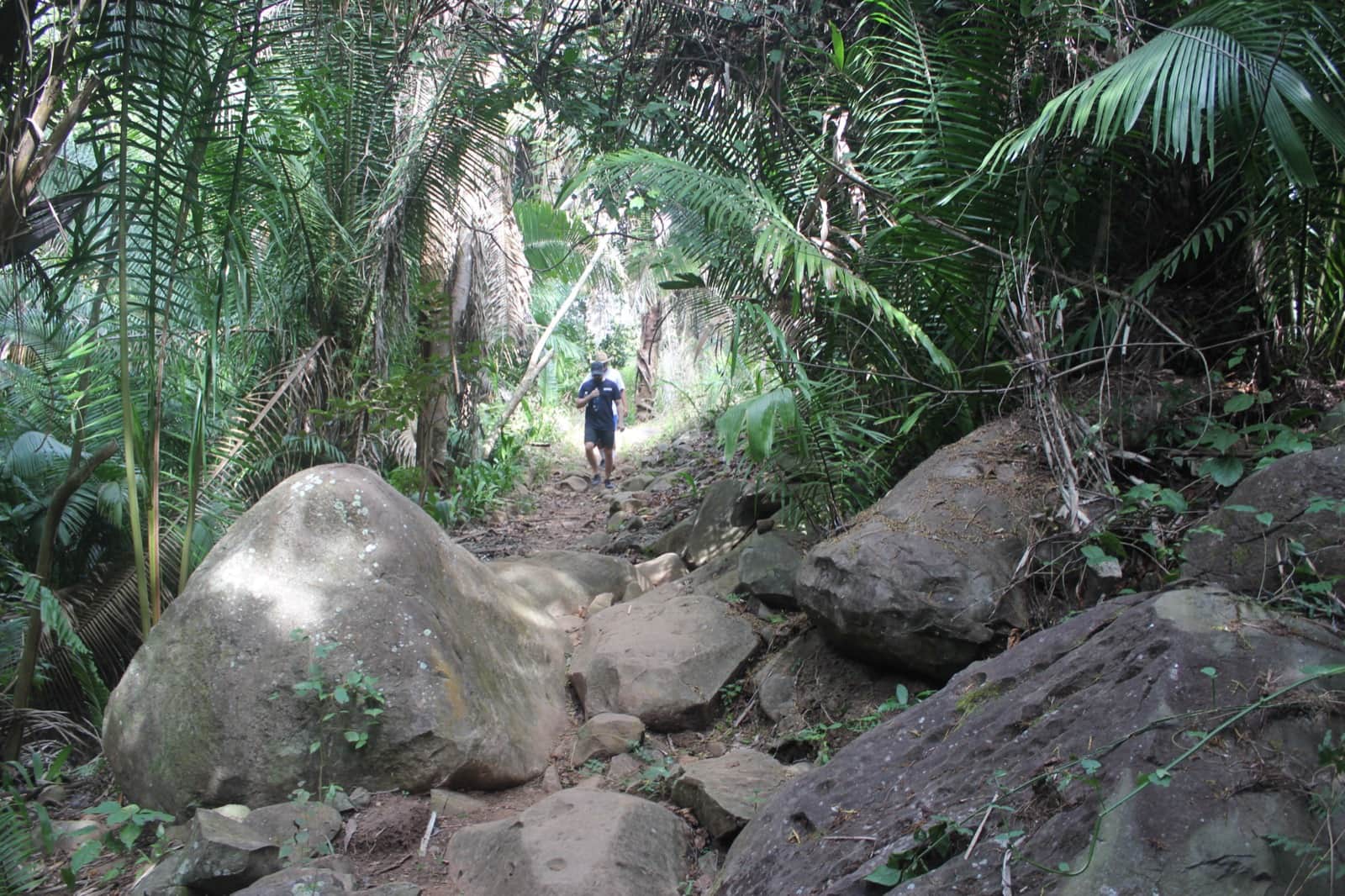 Sendero rocoso con sombra junto al arroyo entre piedras talladas en el complejo de petroglifos de Altavista