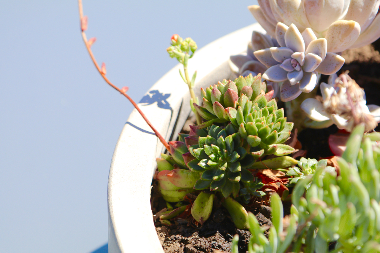 Robe, South Australia