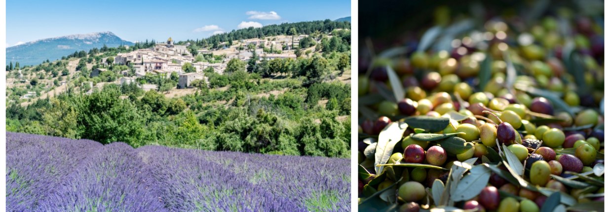Mont Ventoux Mont Ventoux