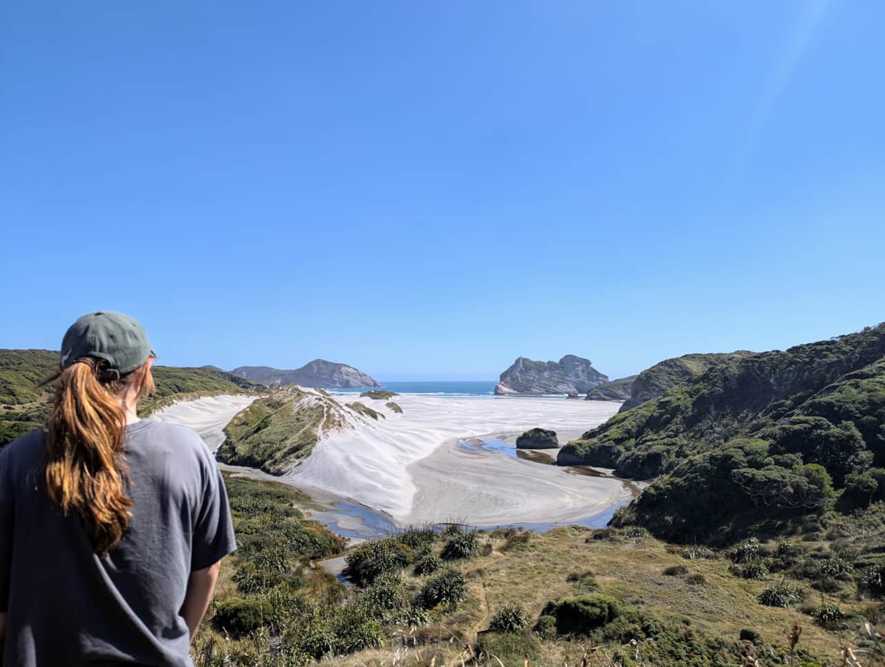 Wharariki Back Beach