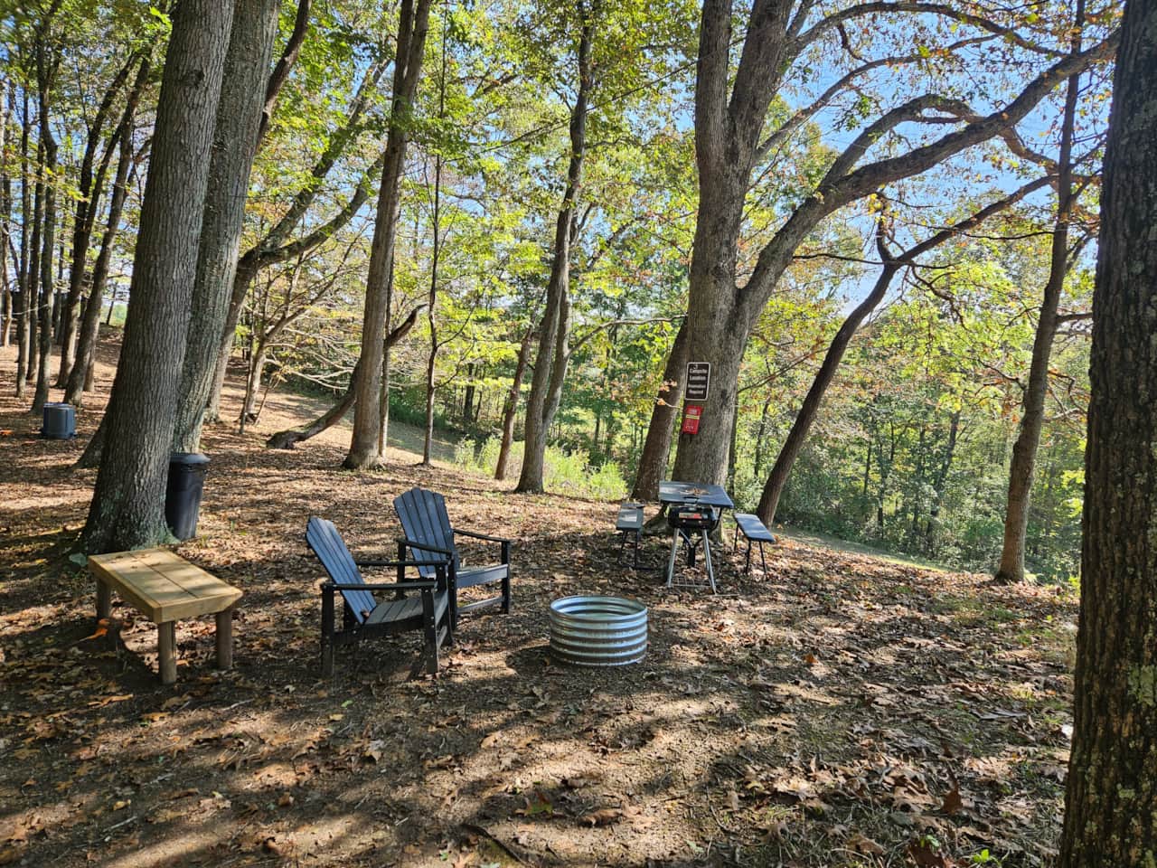 Chairs, fire ring, picnic table, and charcoal grill