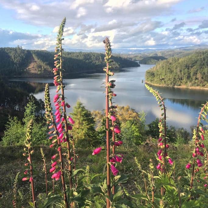 Belles vues sur la rivière