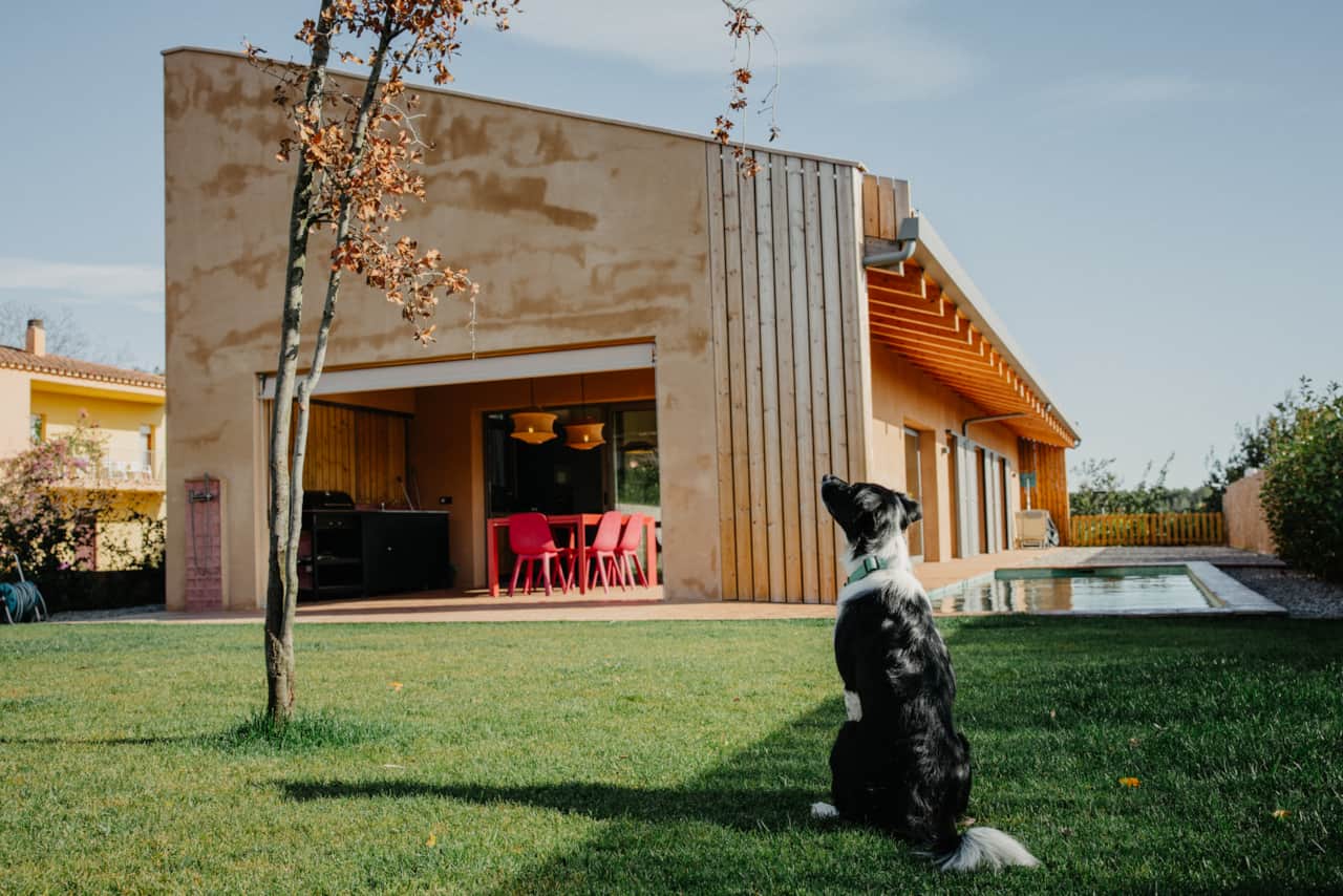 Jardín con olivo y fachada de la casa, con Mini
