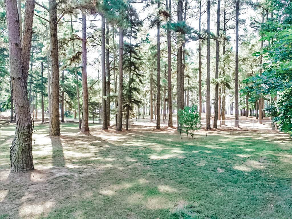 Site Images - 1 of 18 Site Images - 1 of 18