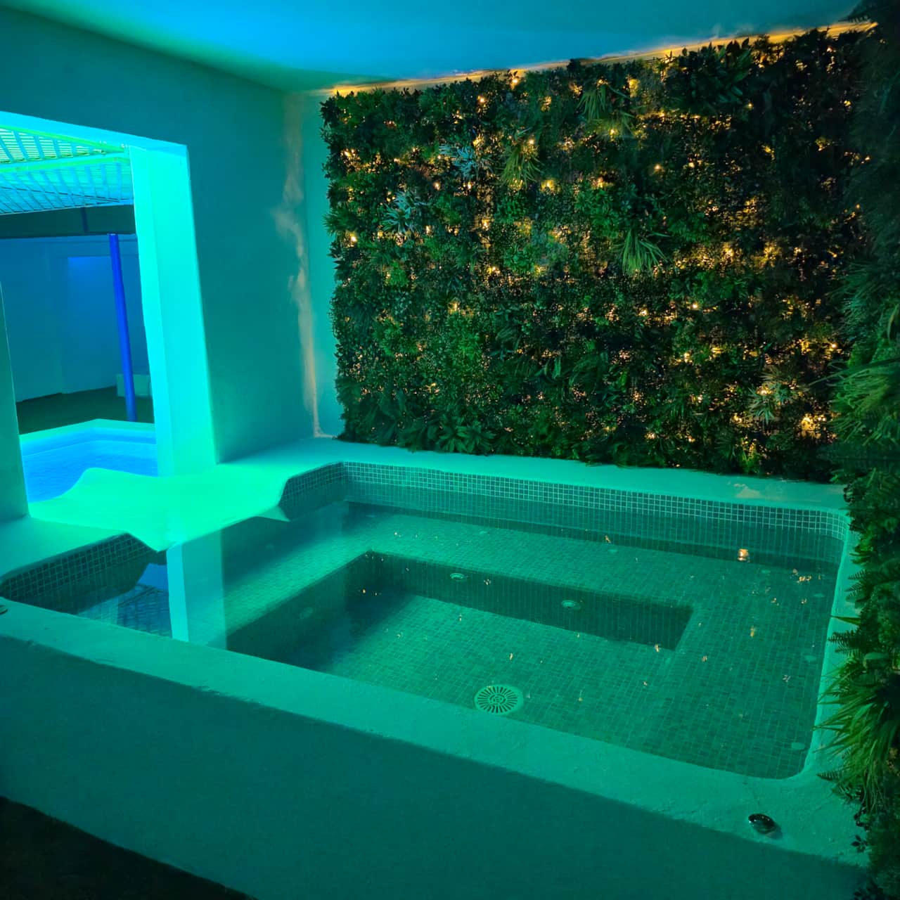 Jacuzzi climatizado interior
