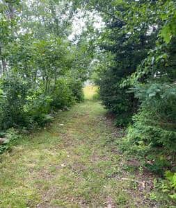 Romantic Pathway leading to the private beach access