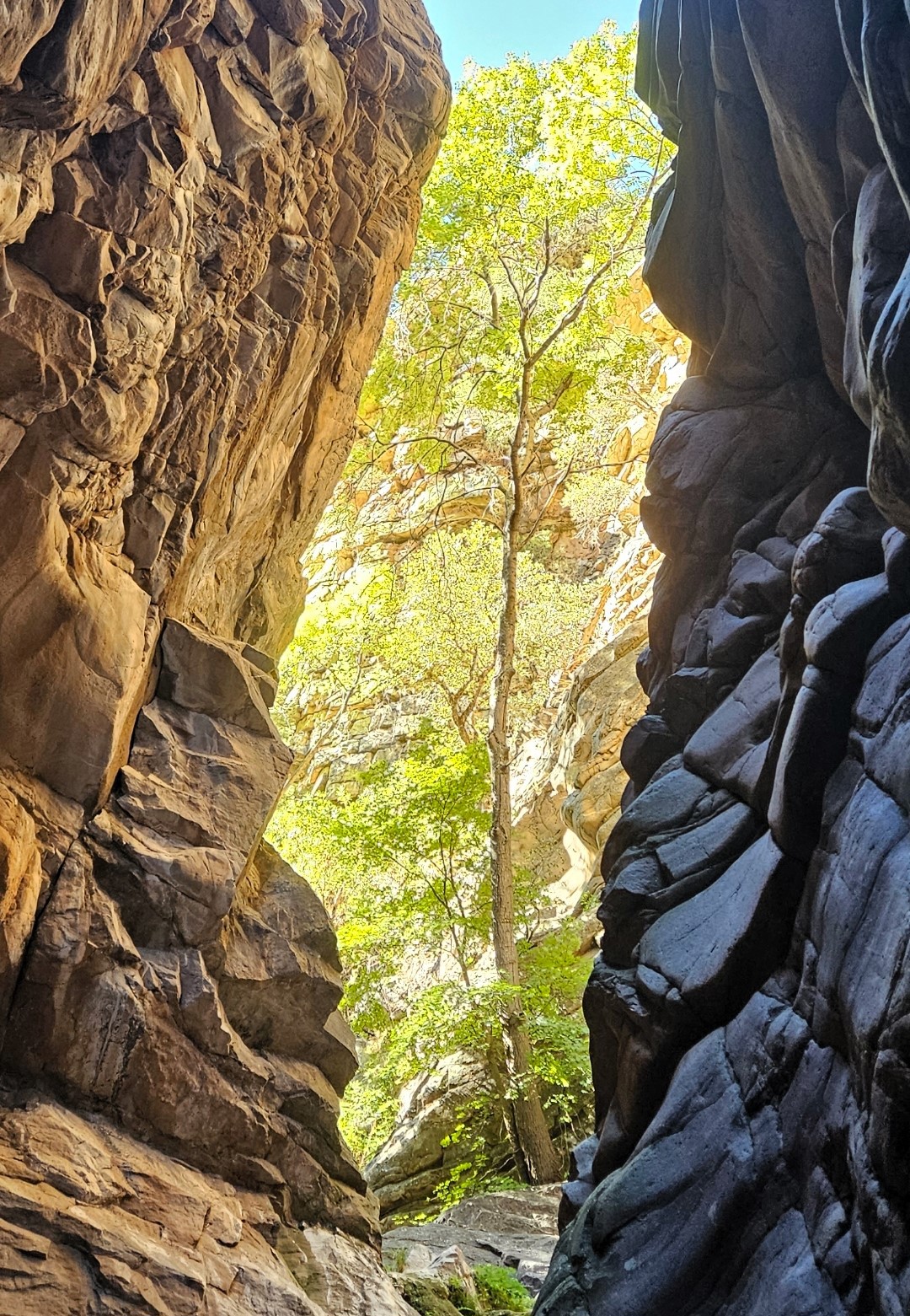 Ramsey Canyon Cabins Vacation Cabin Rentals Birding Nature Trails