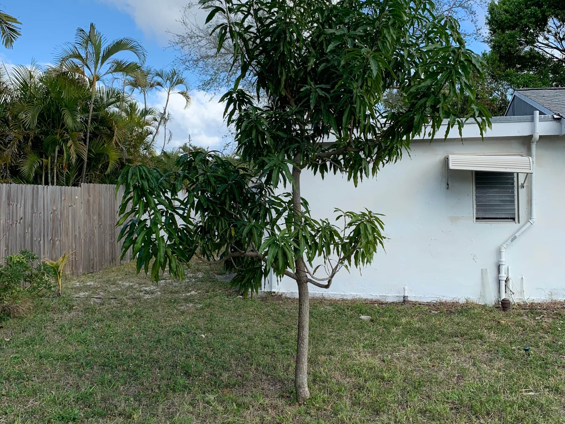 Unit 1 at Casa Citron before renovation, showing a closed interior where adding double doors was needed to bring in natural light and improve indoor-outdoor flow.