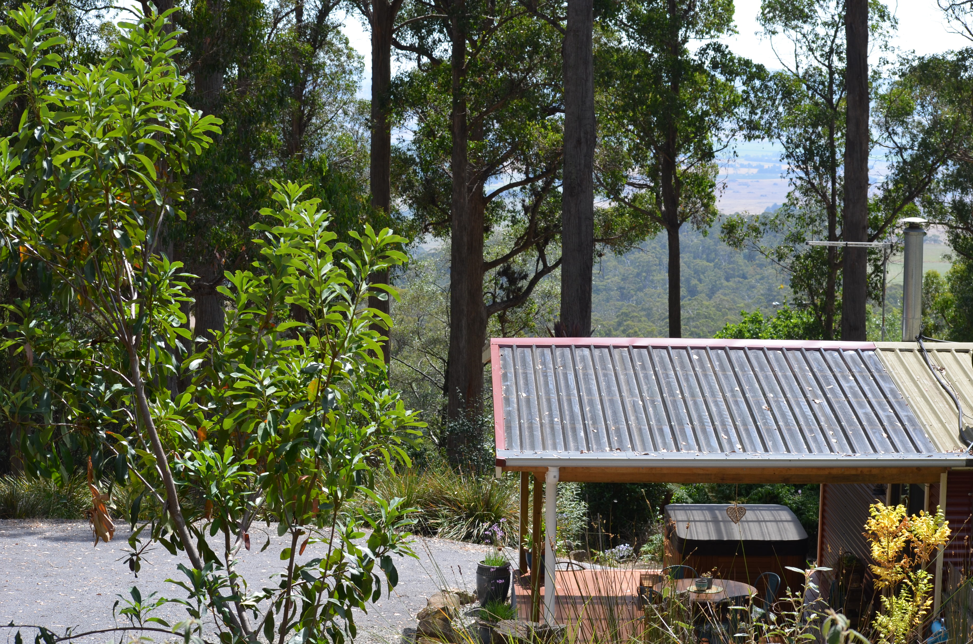 The Cottage Cabin In Western Creek