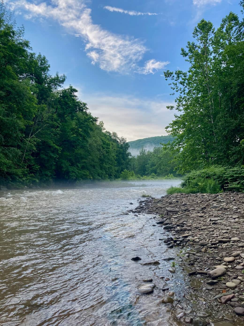 Esopus creek on property accessible through our trails