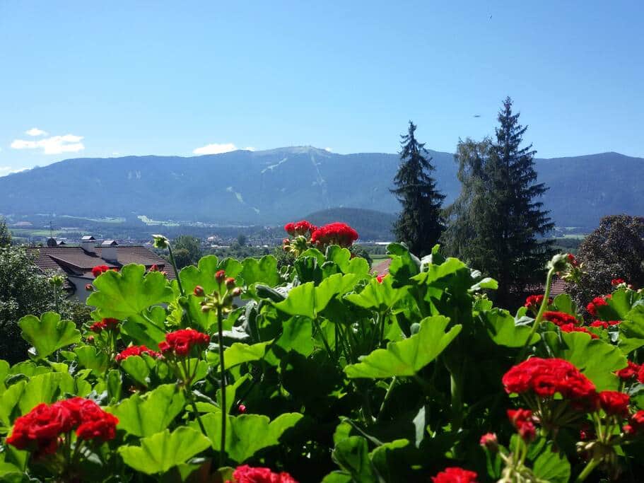 Ausblick