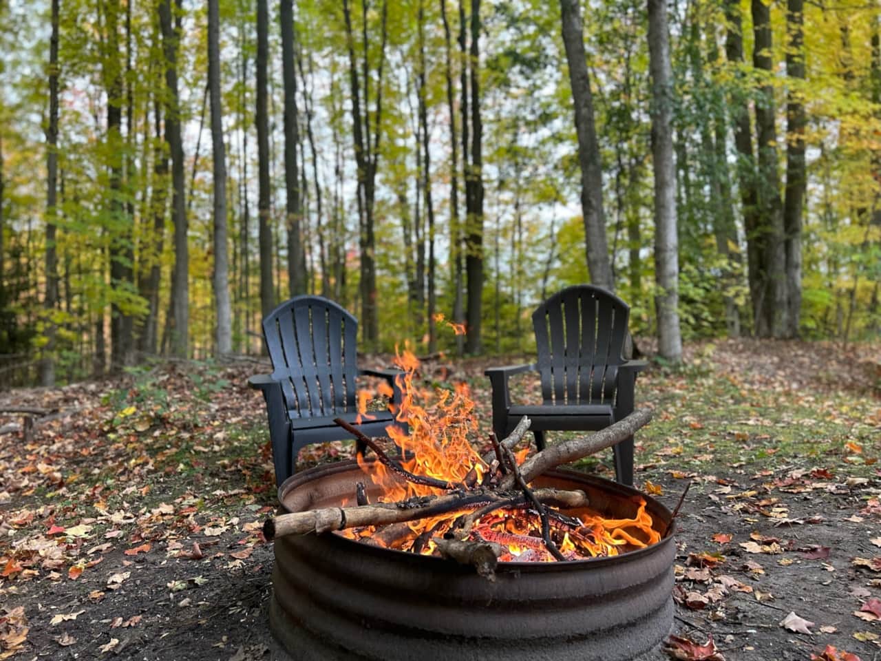 Fire pit in the backyard.