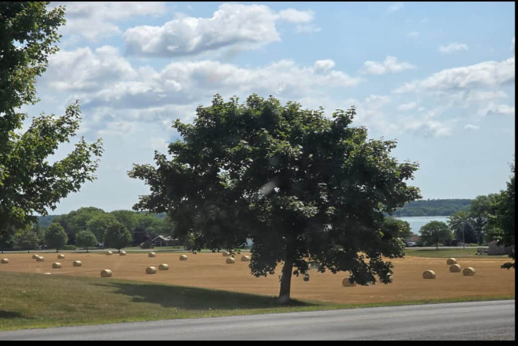Prince Edward County street view rural hayfield lakeview Prince Edward County street view rural hayfield lakeview